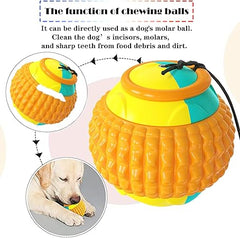 Dog Chew Toys Indestructible for Interactive Play Orange | Yoyo Ball