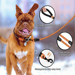 Dog Leash | 3M Reflective Dog Rope | Soft Comfortable Handle | Heavy Duty Belt Hook | (Suitable Up to 10KG - Small Breed) - 5 Feet Long (S - Neon Orange)