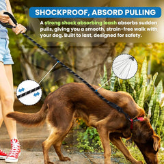 Dog Leash | 3M Reflective Dog Rope | Soft Comfortable Handle | Heavy Duty Belt Hook | (Suitable Up to 10KG - Small Breed) - 5 Feet Long (S - Neon Orange)