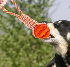 Dog Ball with Rope Interactive Dog Toy for Puzzle Feeders Dog Rope Toy Orange