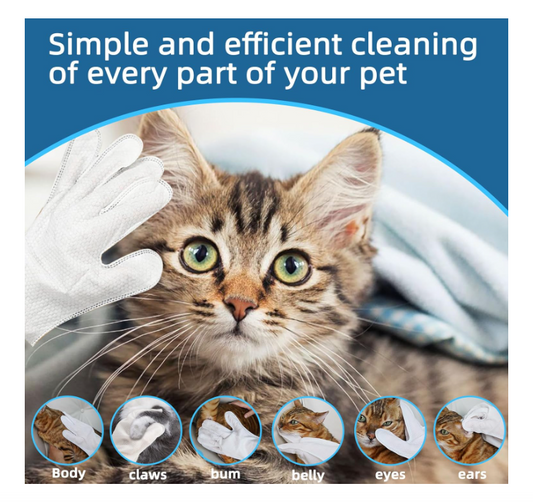 Pet Wipes Full Hand (Gloves) – 6 PCS Set of Thick Cleaning Gloves