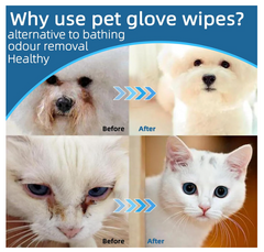 Pet Wipes Full Hand (Gloves) – 6 PCS Set of Thick Cleaning Gloves