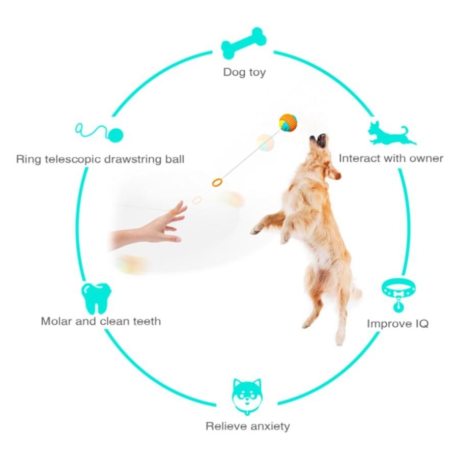 Dog Chew Toys Indestructible for Interactive Play Orange | Yoyo Ball