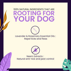 Comfy Paws Dog Shampoo | Anti-Tick & Flea | Natural Rosemary + Lavender | Itch Relief, Deodorizing Clean | Puppy Safe & All Breeds